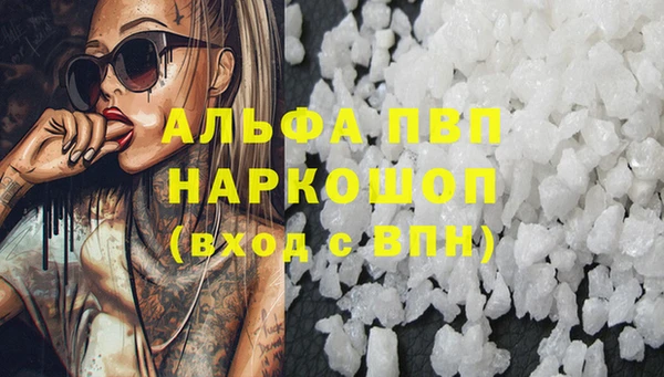 apvp Инсар