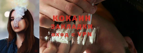 apvp Инсар