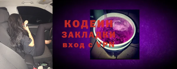 apvp Инсар