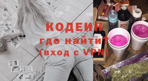 apvp Инсар
