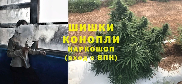apvp Инсар
