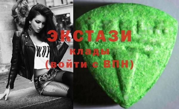 apvp Инсар