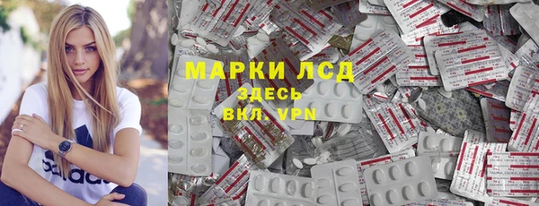 apvp Инсар