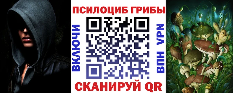 Галлюциногенные грибы Magic Shrooms  Купить  Минеральные Воды 